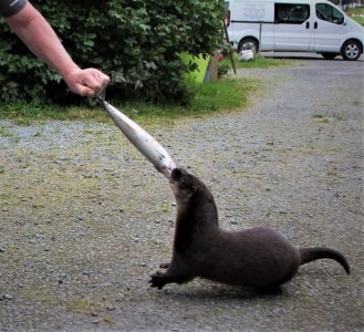 IMG_5277.JPG IMG_5277.JPG