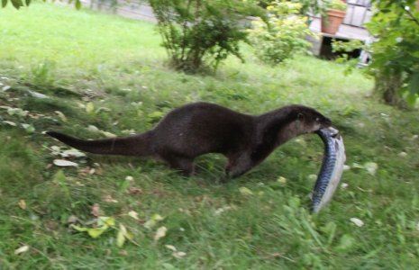 IMG_5280.JPG IMG_5280.JPG