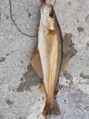 20210813_125524 (2)_copy_488x651.jpg