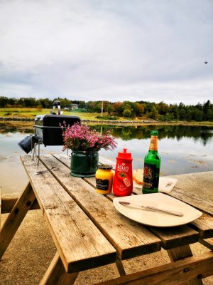 IMG_20210815_175724-02.jpeg IMG_20210815_175724-02.jpeg