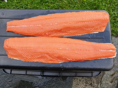 20210815_191631.jpg 20210815_191631.jpg