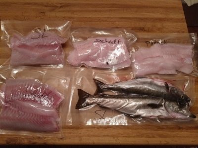 IMG_20210816_003837375.jpg IMG_20210816_003837375.jpg