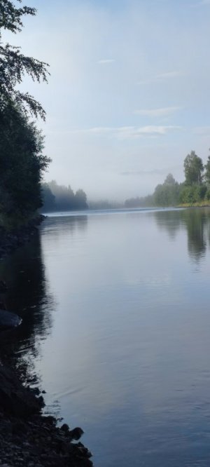 IMG_20210815_081438.jpg