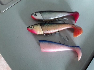 20210822_124459.jpg