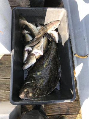 FF11FDCC-FB1E-4F25-B1B3-DC0C2F58A007.jpeg FF11FDCC-FB1E-4F25-B1B3-DC0C2F58A007.jpeg