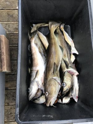 6D04D710-D011-4441-AAC0-AF329DF0D54E.jpeg 6D04D710-D011-4441-AAC0-AF329DF0D54E.jpeg