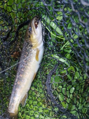 20210820_191521.jpg 20210820_191521.jpg