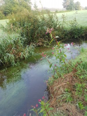 20210821_072209.jpg 20210821_072209.jpg