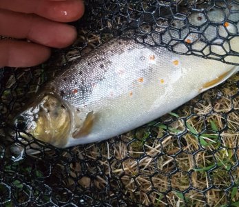 20210821_213510.jpg 20210821_213510.jpg