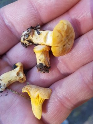 20210821_093038.jpg 20210821_093038.jpg