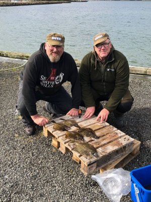 IMG-20210830-WA0005.jpg IMG-20210830-WA0005.jpg