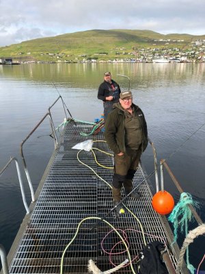 IMG-20210830-WA0004.jpg IMG-20210830-WA0004.jpg