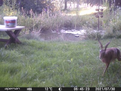 DSCF0003.JPG DSCF0003.JPG