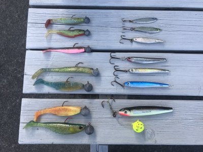 44874D94-0B7A-4D14-8983-8770EFCF9961.jpeg 44874D94-0B7A-4D14-8983-8770EFCF9961.jpeg