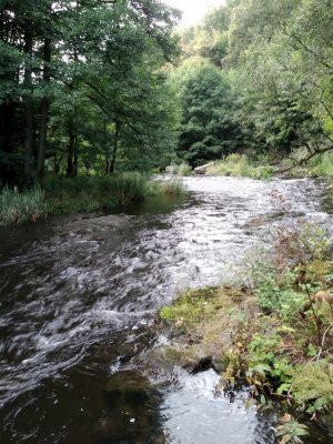 IMG_20210904_182431.jpg IMG_20210904_182431.jpg