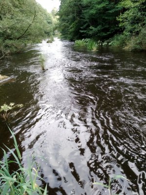 IMG_20210904_182427.jpg IMG_20210904_182427.jpg