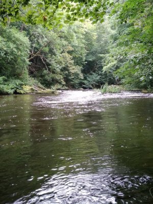 IMG_20210904_122911.jpg IMG_20210904_122911.jpg