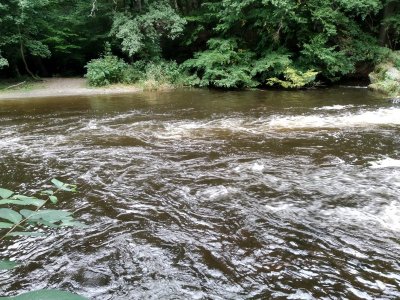 IMG_20210904_121306.jpg IMG_20210904_121306.jpg