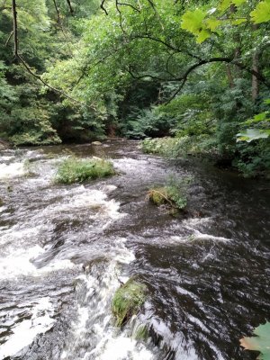 IMG_20210904_121252.jpg IMG_20210904_121252.jpg