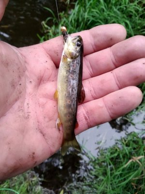 IMG_20210904_111154.jpg IMG_20210904_111154.jpg