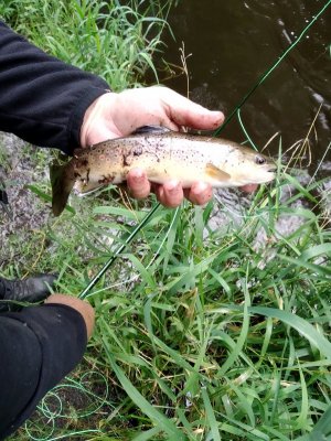 IMG_20210904_105125.jpg IMG_20210904_105125.jpg