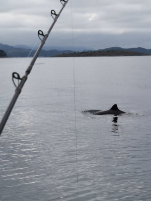 IMG_20210817_104906.jpg IMG_20210817_104906.jpg