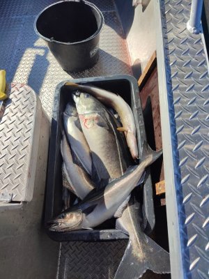 IMG_20210827_112752.jpg IMG_20210827_112752.jpg