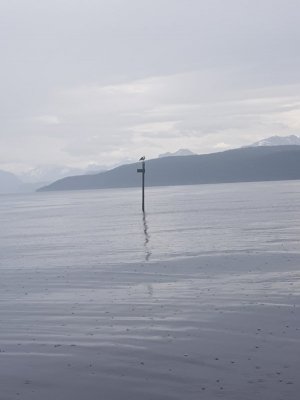 20190605_120330 (1).jpg