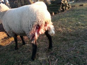 uploadfromtaptalk1427105120986.jpg uploadfromtaptalk1427105120986.jpg