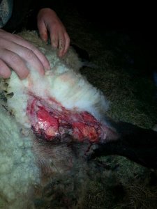 uploadfromtaptalk1427105142685.jpg uploadfromtaptalk1427105142685.jpg