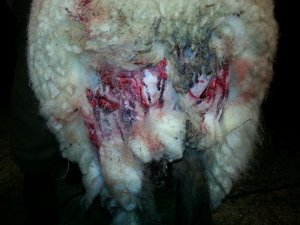 uploadfromtaptalk1427105157267.jpg uploadfromtaptalk1427105157267.jpg