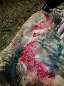 uploadfromtaptalk1427105170201.jpg uploadfromtaptalk1427105170201.jpg