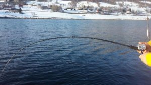 Deps Huge Custom H2N-64R 2.jpg