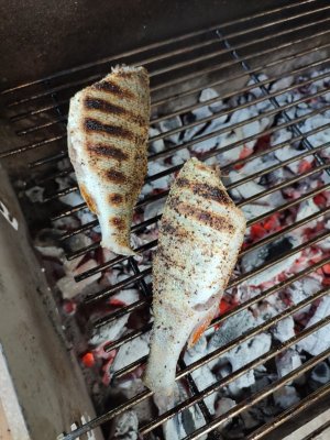 IMG_20210912_143850.jpg IMG_20210912_143850.jpg