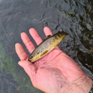 20210913_163800.jpg 20210913_163800.jpg