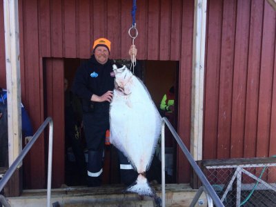 IMG-20210516-WA0011.jpg IMG-20210516-WA0011.jpg