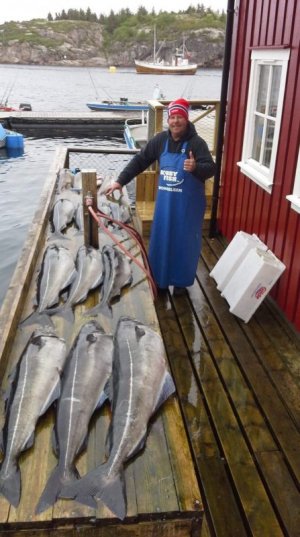 IMG-20210516-WA0010.jpg IMG-20210516-WA0010.jpg