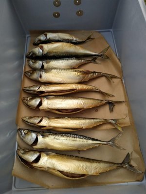 WhatsApp Image 2021-09-20 at 20.29.47.jpeg