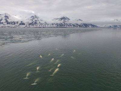Spitzbergen16.jpg