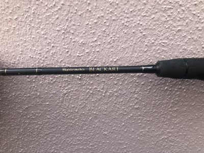 1632421011271.jpeg 1632421011271.jpeg