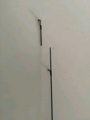 799AE486-F405-4A19-AD52-52B0A6F07221.jpeg 799AE486-F405-4A19-AD52-52B0A6F07221.jpeg