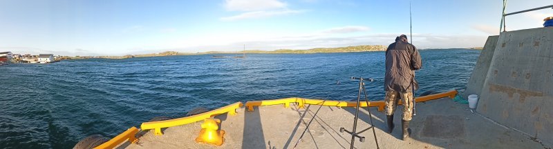 IMG_20210912_175724_8.jpg IMG_20210912_175724_8.jpg