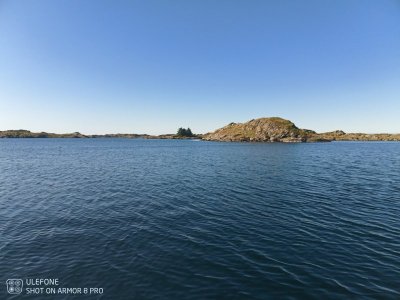 IMG_20210914_112218_979.jpg IMG_20210914_112218_979.jpg