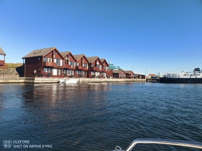 IMG_20210914_112224_709.jpg IMG_20210914_112224_709.jpg