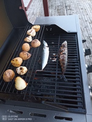 IMG_20210914_200105_452.jpg IMG_20210914_200105_452.jpg