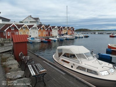 IMG_20210918_134607_809.jpg IMG_20210918_134607_809.jpg