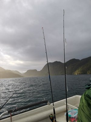 IMG_20210922_094819.jpg IMG_20210922_094819.jpg