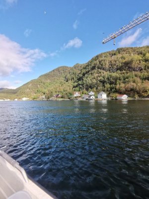 IMG_20210923_154919.jpg IMG_20210923_154919.jpg