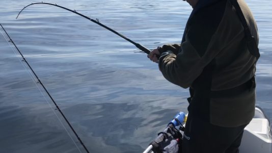 1632650174518.png 1632650174518.png