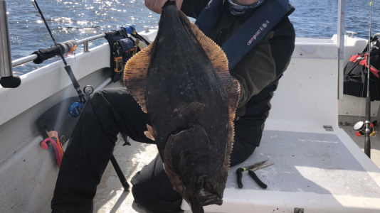 1632650449252.png 1632650449252.png